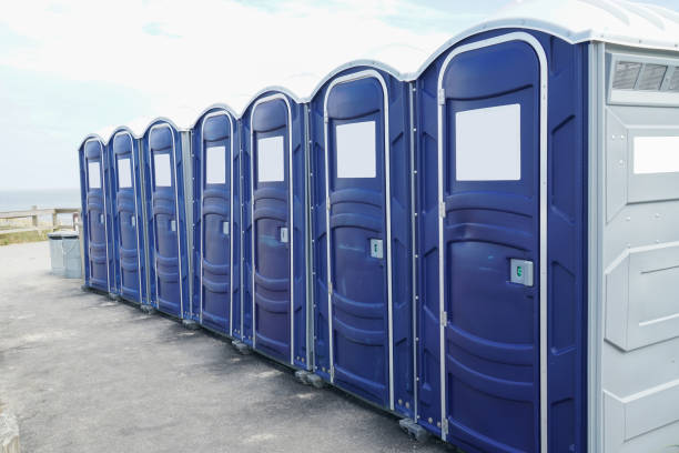 Best Portable Toilets with Baby Changing Stations  in Green Village, NJ